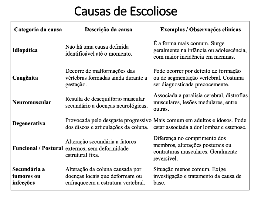 Tabela resumindo [o tema] com classificação por [critério principal]